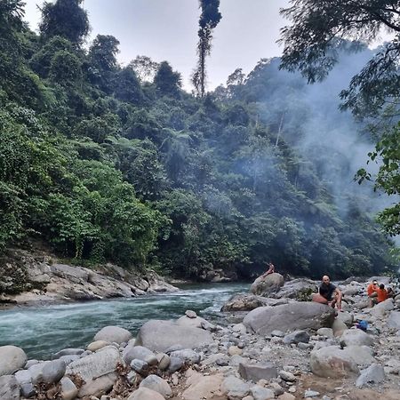 Lucky Bamboo'Bungalows-Resto And Orangutan Jungle Trekking Tours Bukit Lawang Εξωτερικό φωτογραφία