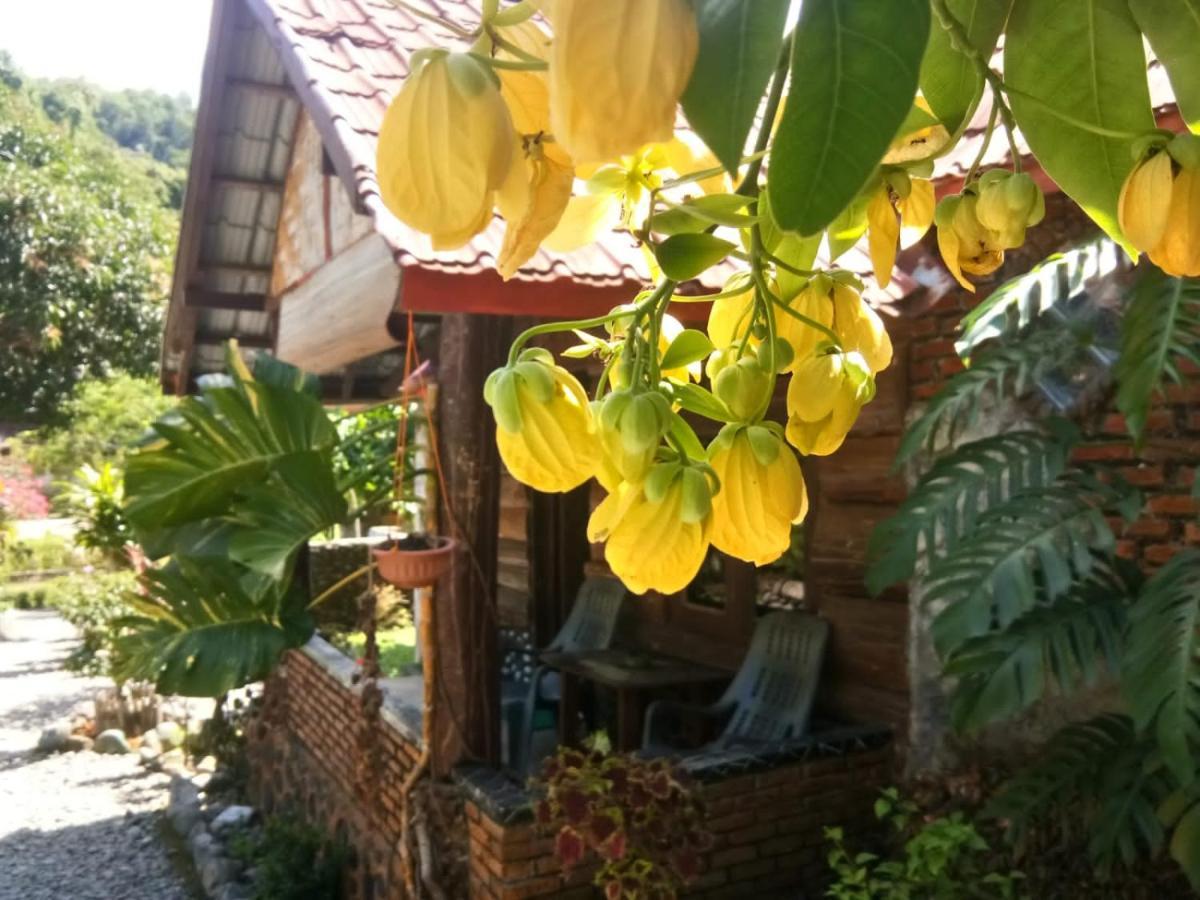 Lucky Bamboo'Bungalows-Resto And Orangutan Jungle Trekking Tours Bukit Lawang Εξωτερικό φωτογραφία