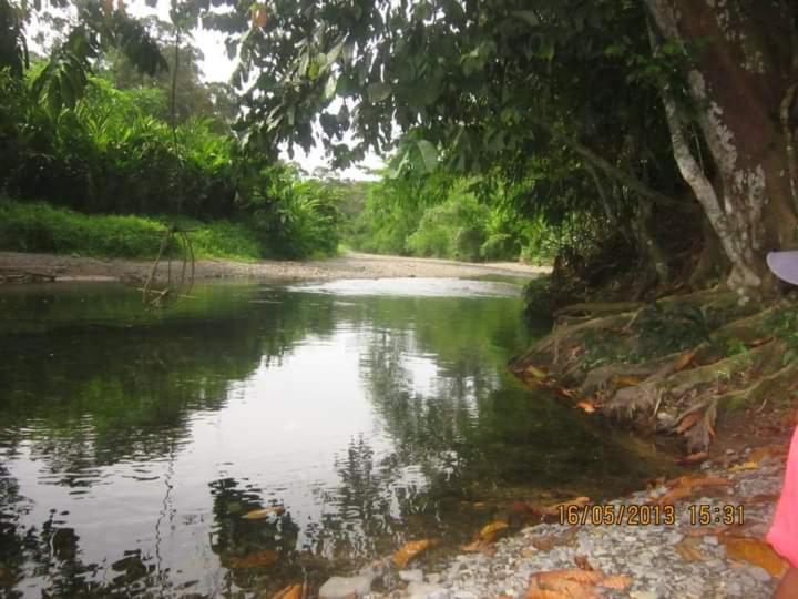Lucky Bamboo'Bungalows-Resto And Orangutan Jungle Trekking Tours Bukit Lawang Εξωτερικό φωτογραφία