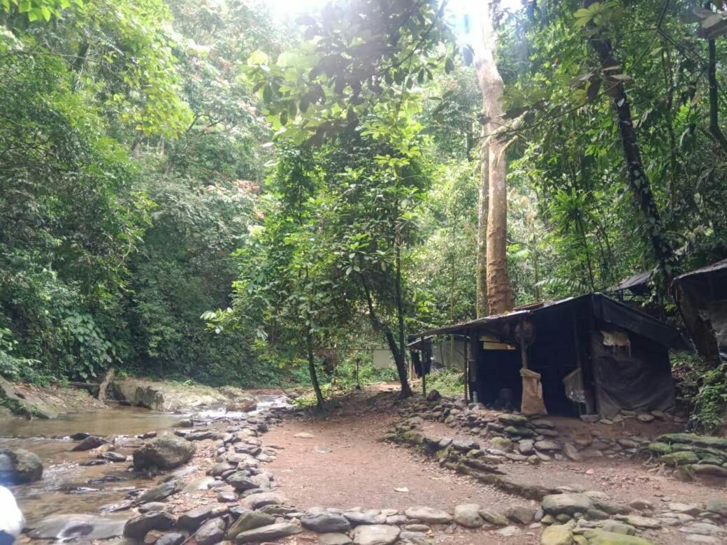 Lucky Bamboo'Bungalows-Resto And Orangutan Jungle Trekking Tours Bukit Lawang Εξωτερικό φωτογραφία