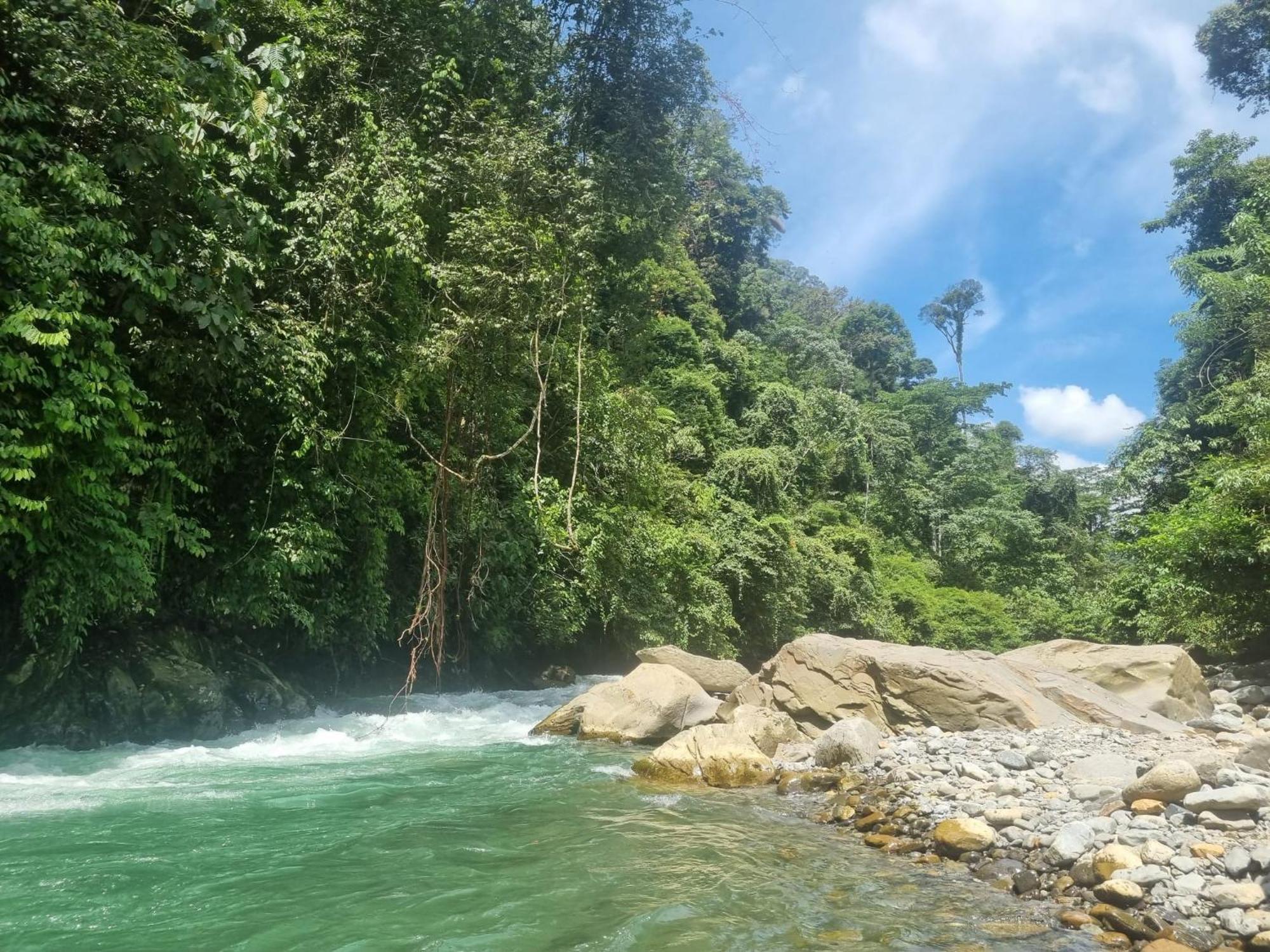 Lucky Bamboo'Bungalows-Resto And Orangutan Jungle Trekking Tours Bukit Lawang Εξωτερικό φωτογραφία