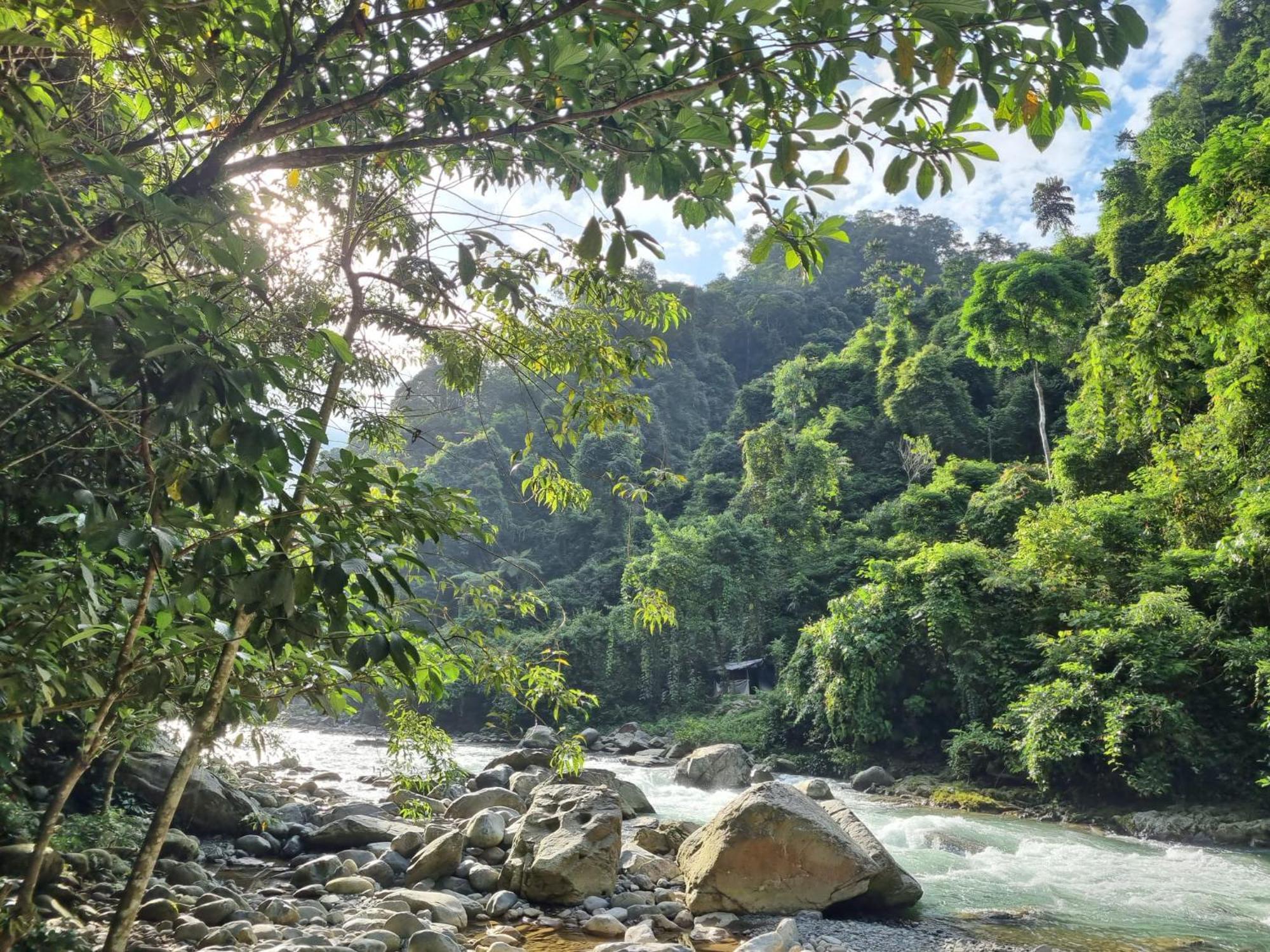 Lucky Bamboo'Bungalows-Resto And Orangutan Jungle Trekking Tours Bukit Lawang Εξωτερικό φωτογραφία