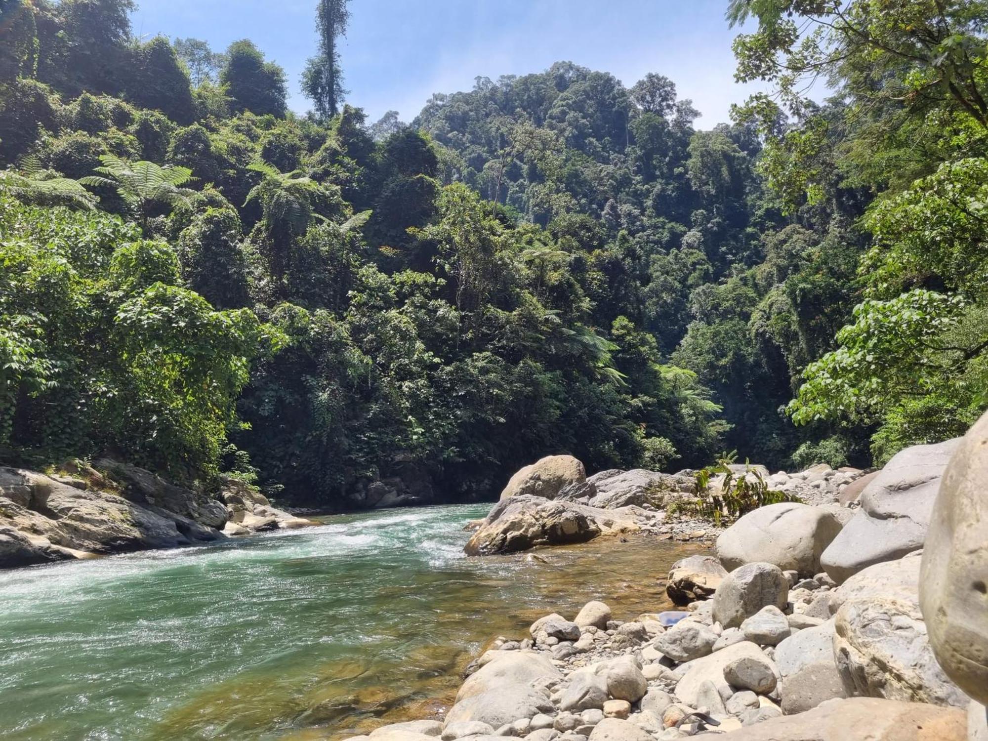 Lucky Bamboo'Bungalows-Resto And Orangutan Jungle Trekking Tours Bukit Lawang Εξωτερικό φωτογραφία