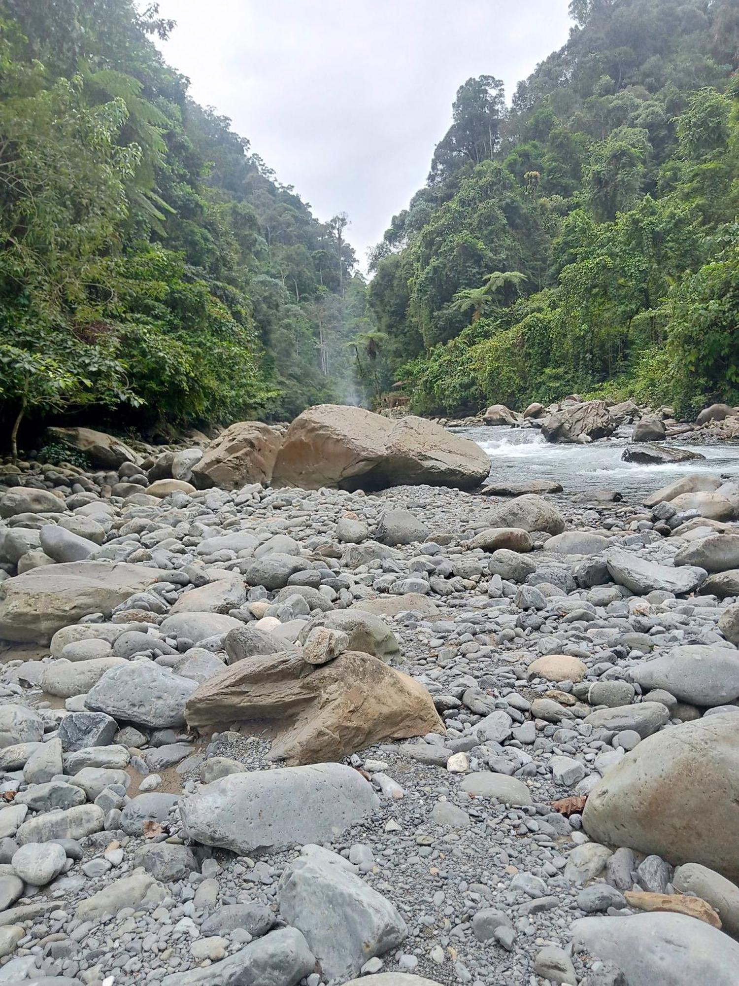 Lucky Bamboo'Bungalows-Resto And Orangutan Jungle Trekking Tours Bukit Lawang Εξωτερικό φωτογραφία